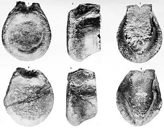 alternativní popis obrázku chybí