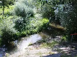 Dolní tok řeky Anykšta u Anykščiů