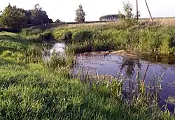 řeka Apaščia v Anglininkách