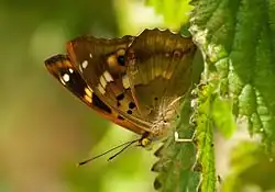 alternativní popis obrázku chybí