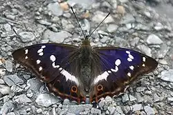 alternativní popis obrázku chybí