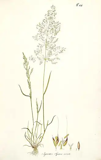 alternativní popis obrázku chybí