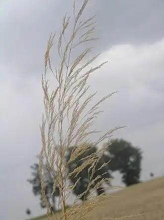 alternativní popis obrázku chybí