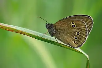 alternativní popis obrázku chybí