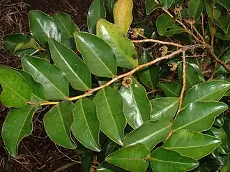 alternativní popis obrázku chybí