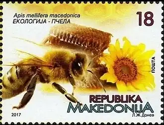 popis obrázku chybí