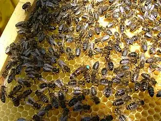 alternativní popis obrázku chybí