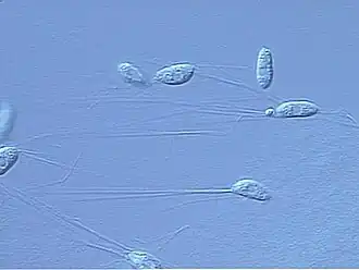 alternativní popis obrázku chybí