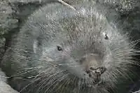 alternativní popis obrázku chybí