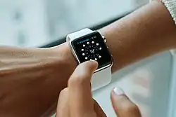 Apple Watch (ocelové)