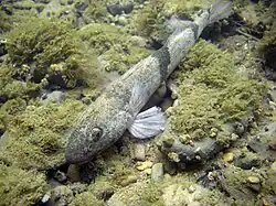 alternativní popis obrázku chybí