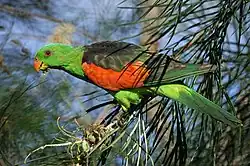 alternativní popis obrázku chybí