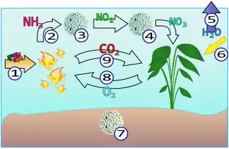Správné akvarijní podmínky