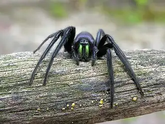 alternativní popis obrázku chybí