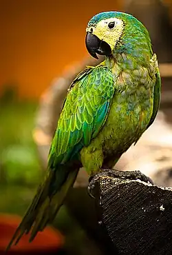 alternativní popis obrázku chybí