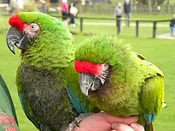 alternativní popis obrázku chybí