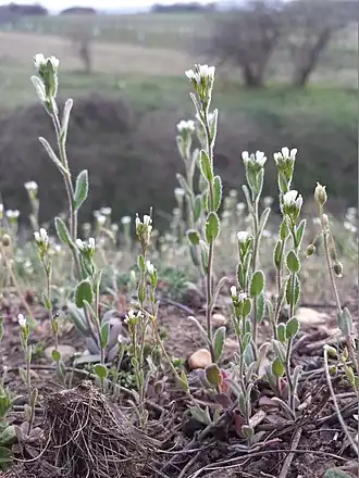 alternativní popis obrázku chybí
