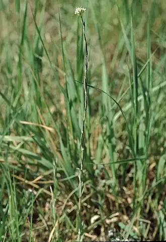 alternativní popis obrázku chybí