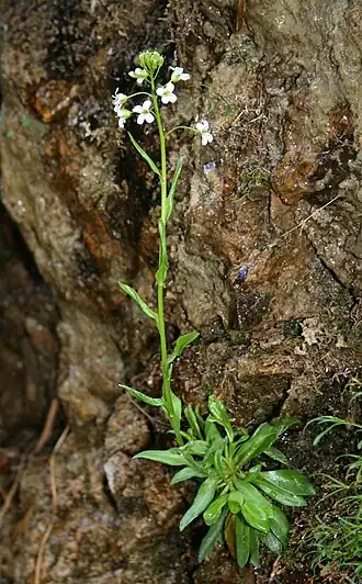 alternativní popis obrázku chybí