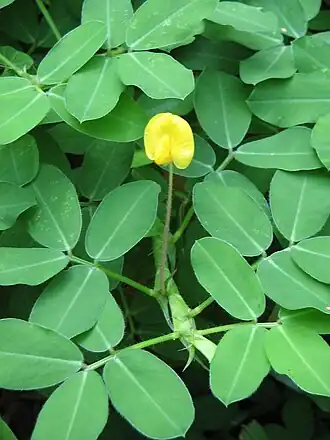 alternativní popis obrázku chybí