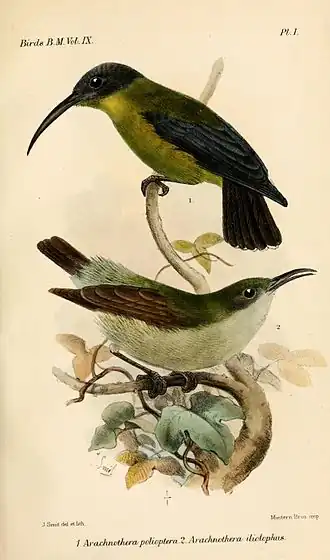 alternativní popis obrázku chybí