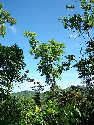 alternativní popis obrázku chybí