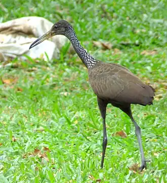 alternativní popis obrázku chybí