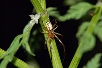 alternativní popis obrázku chybí
