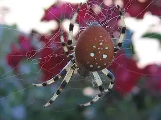 alternativní popis obrázku chybí