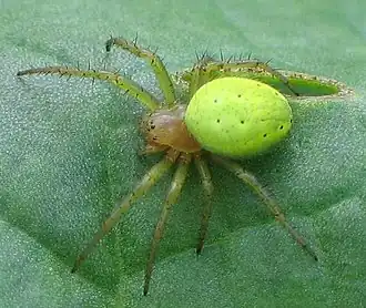 alternativní popis obrázku chybí