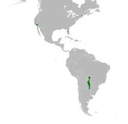 Areál rozšíření