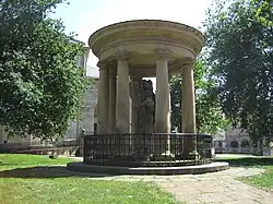 kmen původního starého dubu