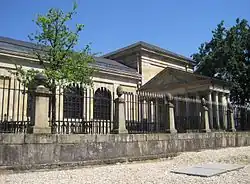 nový dub před Casa de Juntas