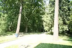 Arboretum in Jemnice, gardens of Jemnice psychiatric hospital in Jemnice, Třebíč District.JPG