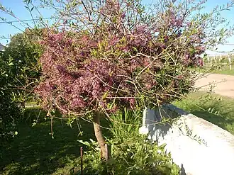 alternativní popis obrázku chybí