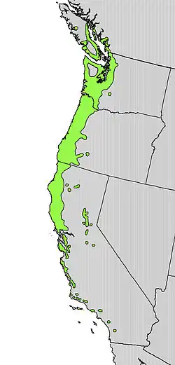 Areál rozšíření