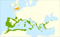 Areál rozšíření