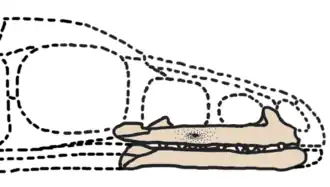 popis obrázku chybí