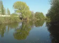 Arčeda protékající městem Frolovo