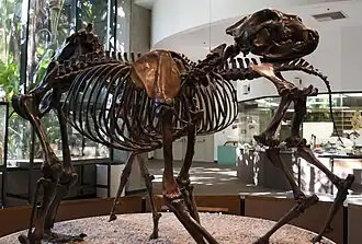 alternativní popis obrázku chybí