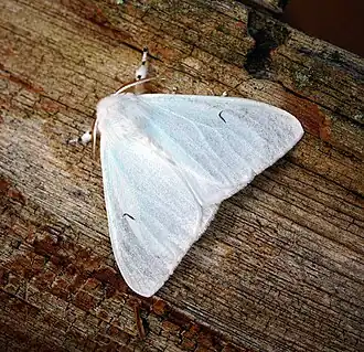 alternativní popis obrázku chybí