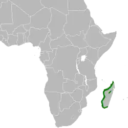 Rozšíření volavky madagaskarské (zeleně)