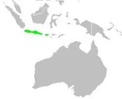 Areál rozšíření