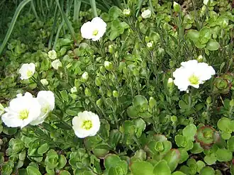 alternativní popis obrázku chybí