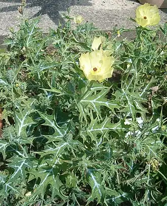 alternativní popis obrázku chybí