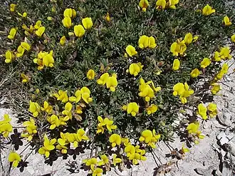 alternativní popis obrázku chybí