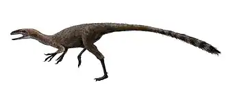 alternativní popis obrázku chybí