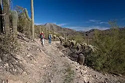 Stezka na jihu Arizony