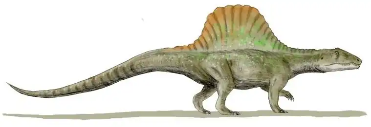Kresba Arizonasaura