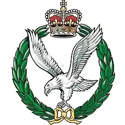 Odznak Army Air Corps
